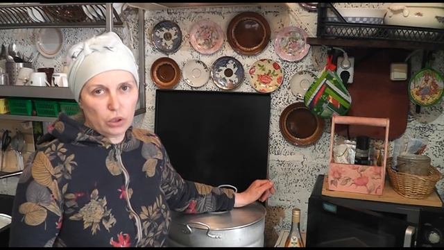 Впервые вижу чистопородных альпийцев вживую смотреть онлайн