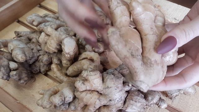 Корень имбиря