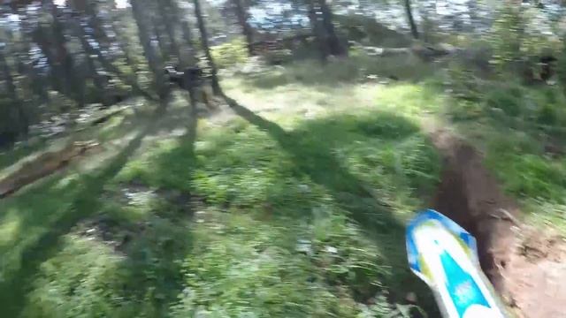 Avantis 300 Pro на стайках - неберучка, шуньков, мастер, фейлы, тесты авы