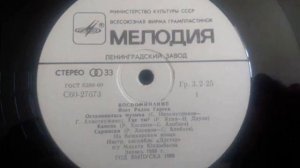 4. Радик Гареев - Сармасан