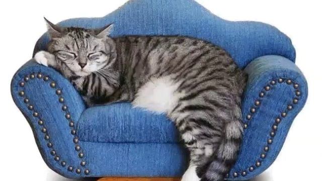 Когда каникулы смотреть онлайн