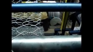 Станок автомат для производства сетки рабица