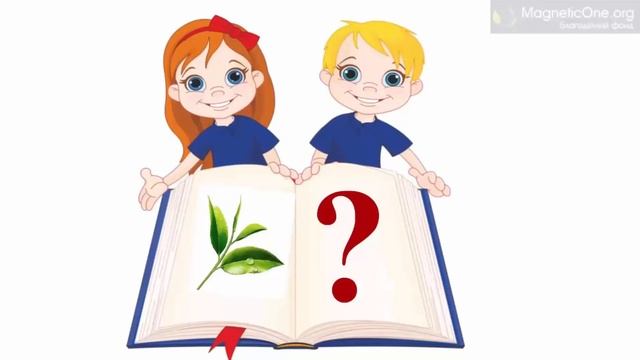 Урок 24 Природознавство 1 клас. Яку будову мають рослини? смотреть онлайн