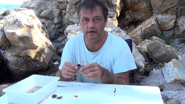 Собираем наживку на море сами! смотреть онлайн