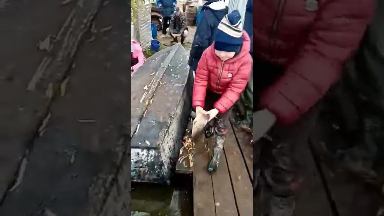 килька в бочке1 смотреть онлайн