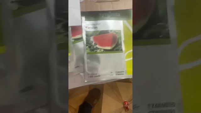 #семена арбуза #Каристан продаю смотреть онлайн