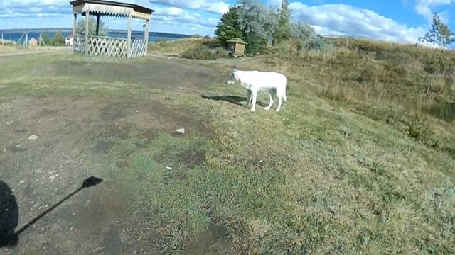 Поездка на Аслыкуль на Мотоцикле Bajaj Pulsar 180 смотреть онлайн