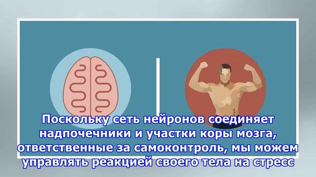 Как разум влияет на тело и уровень стресса смотреть онлайн