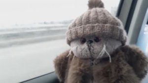 Басик едет на дачу!