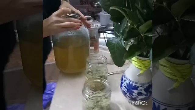 Живое варенье из фейхоа?запас йода на зиму смотреть онлайн