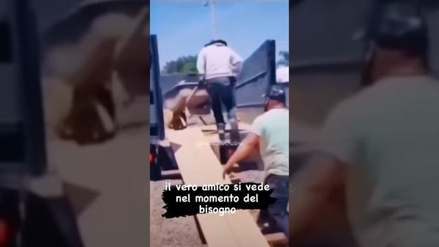 ТБшник на стройке ч.22 смотреть онлайн