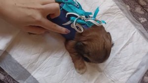 Синдром "Пловца" - Не приговор!