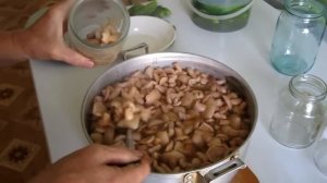 Как мариновать грибы маслята.Маринование грибов.Рецепт маринования грибов на зиму.Маринование масля