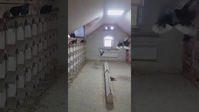Пацаны на 2021 год смотреть онлайн