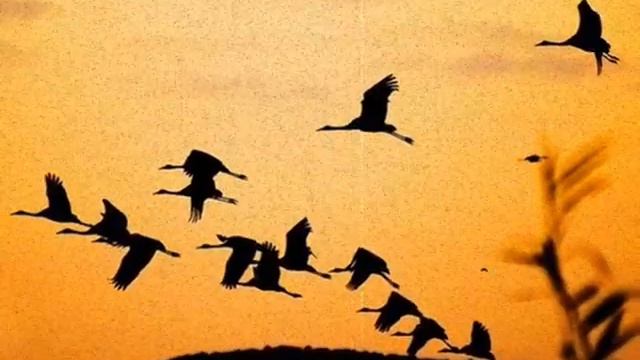 Вот и лето прошло смотреть онлайн
