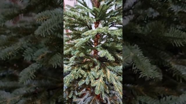 Ель новогодняя 150 см. смотреть онлайн