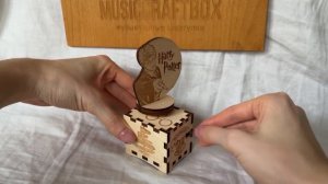 Музыкальная шкатулка Гарри Поттер Harry Potter music box