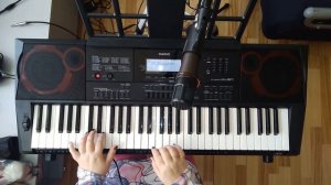 Тема  из к/ф "Долгая дорога в дюнах" (видеоурок)