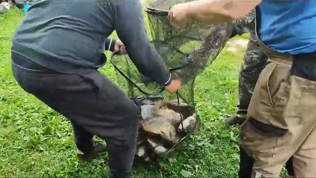WhatsApp Video 2023 08 12 at 16 43 59 2 смотреть онлайн