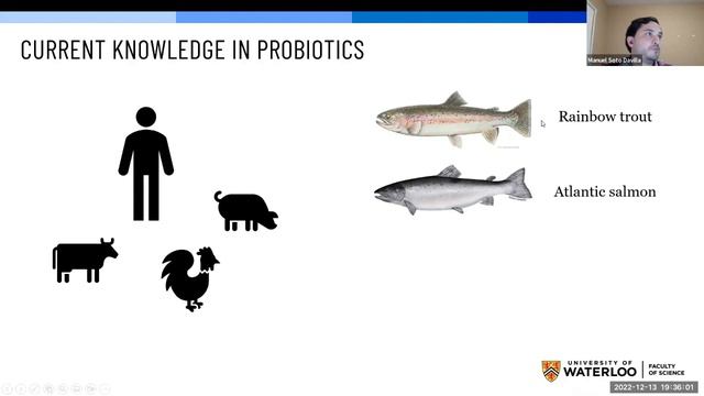 Utilization of probiotics for disease prevention in Chinook salmon aquaculture смотреть онлайн