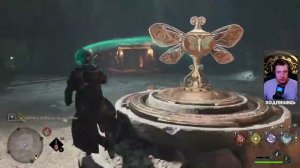 HOGWARTS LEGACY ОСМОТРИТЕ ГРОБНИЦУ В ПОИСКАХ ШЛЕМА - Поиск Бабочек