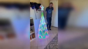 215. HFM COUB BEST CUBE Coub Приколы 2024 entertainment show, video collection from all over the wor