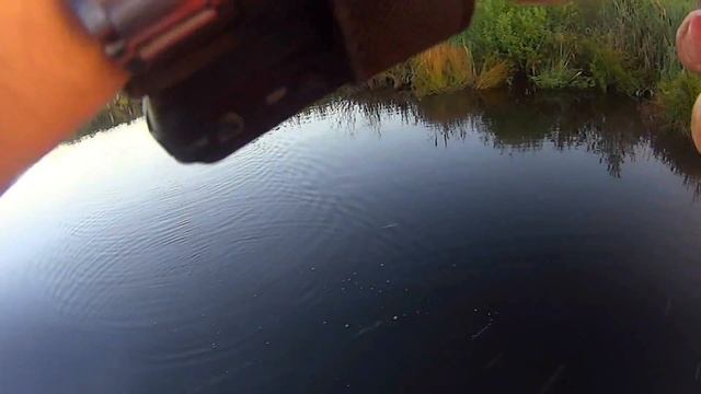 Lucky Craft Tone Splash. Ловля окуня на поппер с пропеллером смотреть онлайн