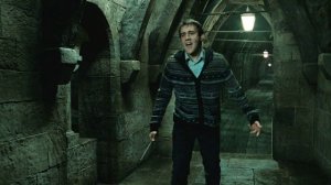 Гарри Поттер и дары смерти: Часть II