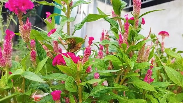 УСЫПЛЯЮЩАЯ МУЗЫКА ДЛЯ СНА ? Музыка полезна и полезна для душ ?  Спокойная Музыка Для Снятия Стресса