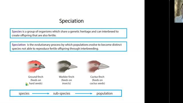 Evolution grade 9 смотреть онлайн