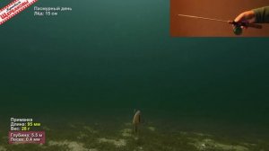 Крупные РАТТЛИНЫ (VIB). Важен ли РАЗМЕР ВИБА для зимнего СУДАКА? Подводные съемки на 5 5 метрах!