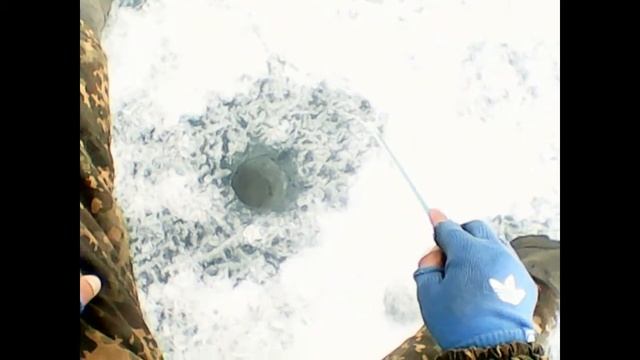 Ловля окуня,деревня Парная,озеро Большое смотреть онлайн