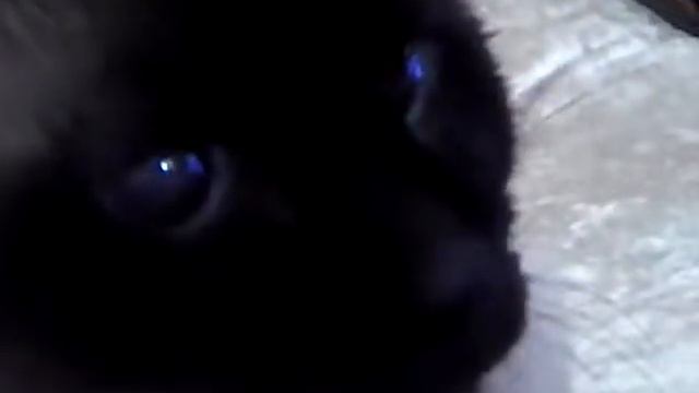 ЖКХ - долги , налоги. БИЗНЕС, ПЛЕВАТЬ ПРОТИВ ВЕТРА, КОРОТКАЯ ПАМЯТЬ, АВТОМОБИЛИ. ШЕНГЕН. смотреть онлайн