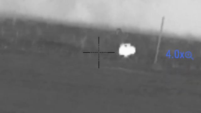 533 YARD THERMAL COYOTE DOUBLE | Lucky Duck Super Revolt. смотреть онлайн