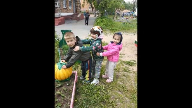 Сказка "Репка" смотреть онлайн