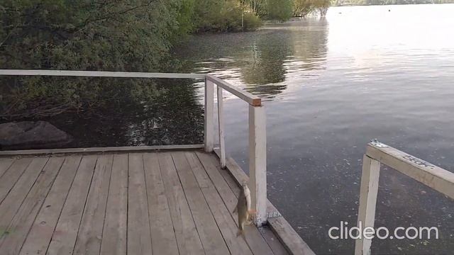 Рыбалка на Шарташе,16-17.5.2021 смотреть онлайн