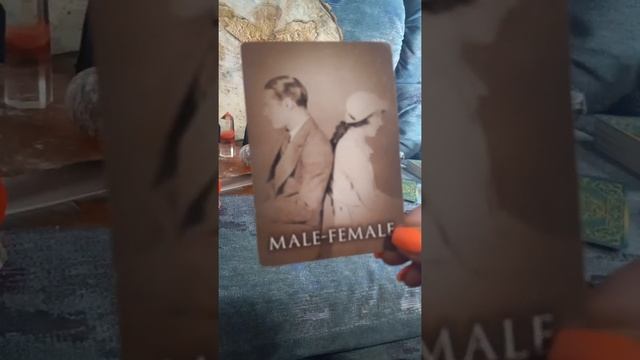 What the Deck Intro | Past Lives | Akashic Records | Intuitive | Pick A Card смотреть онлайн