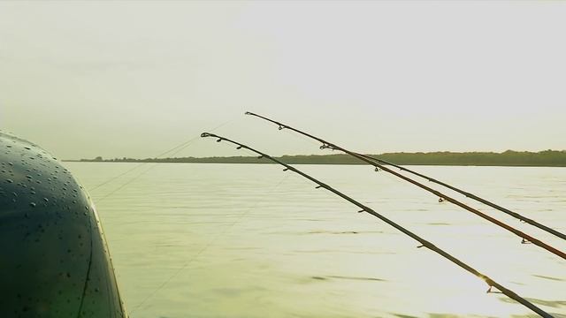 Ловля осеннего сома на донку смотреть онлайн