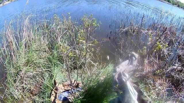 рыбалка на поплавок в мае смотреть онлайн