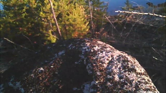 Amik Outposts 2014 flyin moose hunting смотреть онлайн