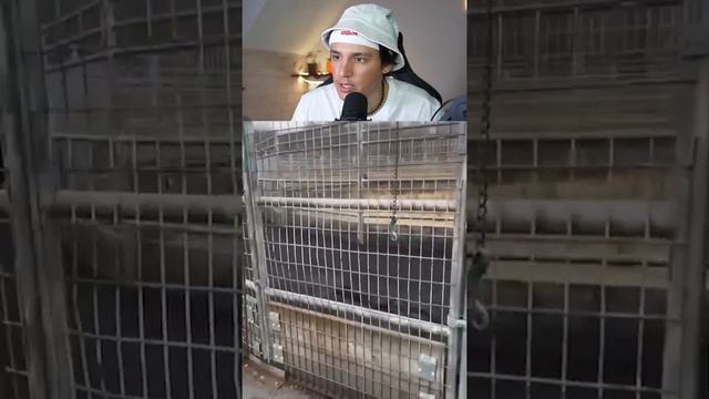 Да или Нет Выбери Ответ!.mp4 смотреть онлайн