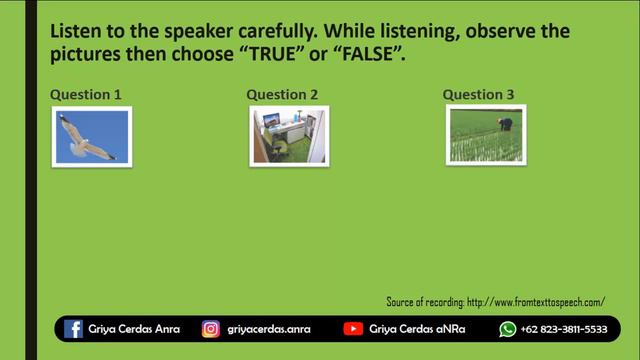 Listening Test 'True False': Simple Present Tense смотреть онлайн
