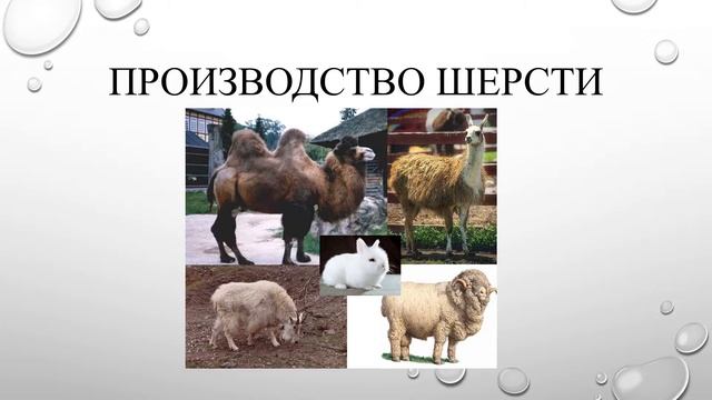 Строение волокон смотреть онлайн