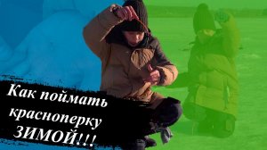 Как поймать красноперку зимой.