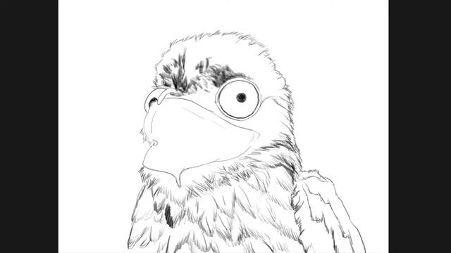 Petty Sketch #10 | Common Potoo quick sketch смотреть онлайн
