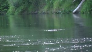 Просто сплав по реке | Один на реке - путешествие продолжается...