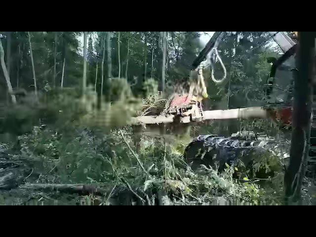 Старушка в работе смотреть онлайн