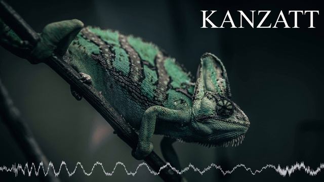 Melodic & Progressive House MIX | DJ Set by Kanzatt - Vol. 17 | смотреть онлайн