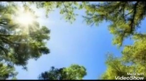 Светит мне в окошко солнышко с небес [христианская детская песня]