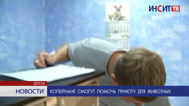 Копейчане смогут помочь приюту для животных смотреть онлайн